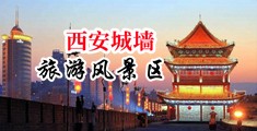 好骚在线视频中国陕西-西安城墙旅游风景区